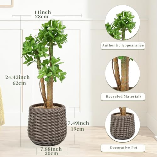 Artificial Succulents Plants 25inch, Tall Faux Desk Plants Indoor in Brown Pot, 2ft Artificial Floor Plant, Fake Plant for Home Office Bedroom Porch Patio Balcony or Garden Outdoor Decor - Image 4