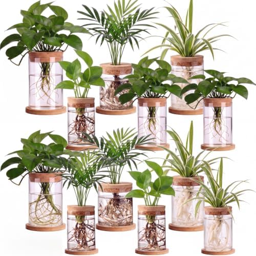 Hushee 12 Pcs Plants Propagation Stations Glass Propagation Jars with Hole Lid Hydroponic Terrarium Vases Gifts for Plant Lovers Home Indoor Office Tabletop Decoration, 2 Sizes by Hushee