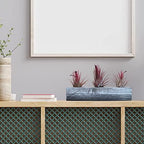 Air Plant Decor Air Plant Holder, 3 Ceramic Tabletop Modern Planter, 1 Solid Red Cedar Holder Made in The USA, Plus 6 Free Tillandsia (Modern Gray) - Image 7