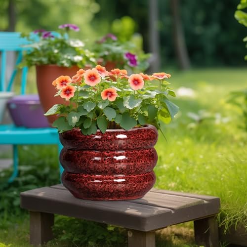 SQOWL 10 Inch Plant Pots - Ceramic Planter for Indoor Plants, Ceramic Plant Pot with Drainage Hole, Bubble Round Flower Pots Outdoor, Home Office Living Room Decor, Gifts for Plant Lover, Red - Image 4