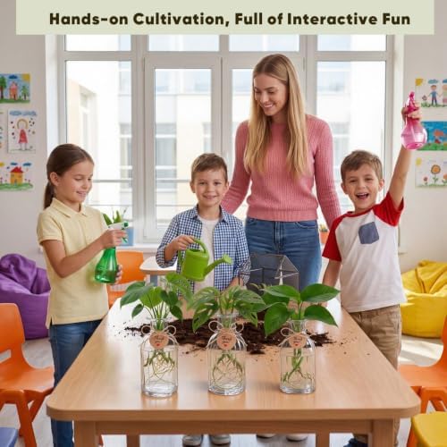12 Pack Glass Plant Propagation Station Vases Small Jars Gifts - Image 4