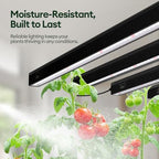 Maygrove T5 Grow Lights for Indoor Plants 2FT, Red-Enhanced Full Spectrum 5000K Grow Light, 60W(4 x 15W), Grow Light Strips for Seed Starting, Greenhouse, High PPFD, Linkable, Black, 4-Pack - Image 6