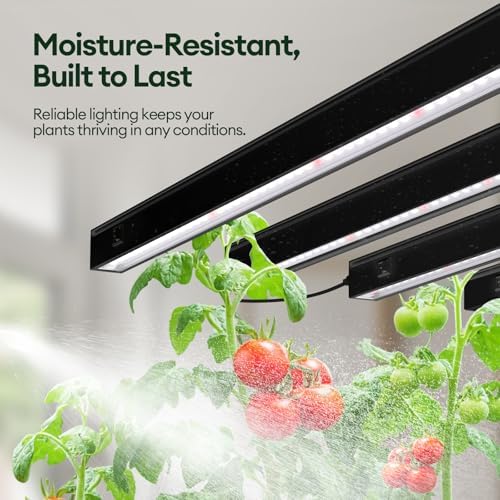 Maygrove T5 Grow Lights for Indoor Plants 2FT, Red-Enhanced Full Spectrum 5000K Grow Light, 60W(4 x 15W), Grow Light Strips for Seed Starting, Greenhouse, High PPFD, Linkable, Black, 4-Pack - Image 6