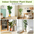 NSYOOMH 3-Pack Sturdy Plant Stand for Outdoor Indoor,Potted Plant Riser 10" - Image 6