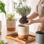6 Inch Ceramic Self Watering Planter with Drainage Hole, Brush - Image 5