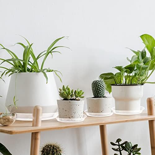 OUPSAUI Plant Saucer Pot Tray, 6 Pack Clear Plant Saucers for Indoors, Large Plastic Dish Suacer Water Drip Tray for Potted Plants Flowers (20 Inches) - Image 5