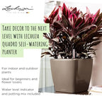 LECHUZA 16120 Quadro LS 21 Self-Watering Planter, Cream White High Gloss - Image 7