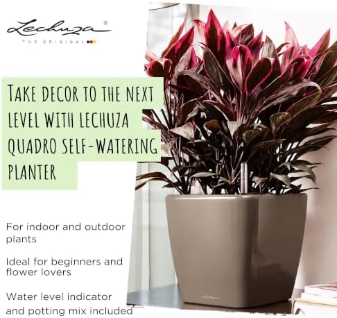 LECHUZA 16120 Quadro LS 21 Self-Watering Planter, Cream White High Gloss - Image 7