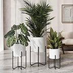 EverNest Claire Mid-Century Modern White Plant Pot with Ambrose Stand, SelectBase, Indoor Plant Pot, Bohemian Style, Minimalist Plant Home Décor (Set of 3, Black) - Image 3