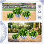 Briwooody Set of 3 Chinoiserie Planters Blue White Ceramic, Elegant Style - Image 6