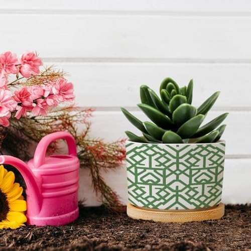 Grey Sage Green Century Ceramic Planter Snake Plant Live Indoor with Pot with Drainage Holes and Saucers Pot for Home Office Desk Garden - Image 5