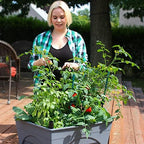 Emsco Group City Picker Raised Bed Grow Box – Self Watering and Improved Aeration – Mobile Unit with Casters - Slate - Image 3