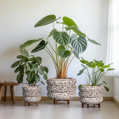 SQOWL Ceramic Flower Pots - 13.5 Inch Plant Pot with Drainage Hole, Large Ceramic Planter for Indoor Plants, Round Modern Planter Outdoor, Porch Home House Decor, Plant Lover Gifts, White - Image 7