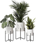 EverNest Claire Mid-Century Modern White Plant Pot with Ambrose Stand, SelectBase, Indoor Plant Pot, Bohemian Style, Minimalist Plant Home Décor (Set of 3, Black) by EverNest