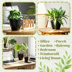 Roshtia 12 Pcs 8.3 Inch Plastic Hanging Pots for Plants Bulk with Hooks - Image 6