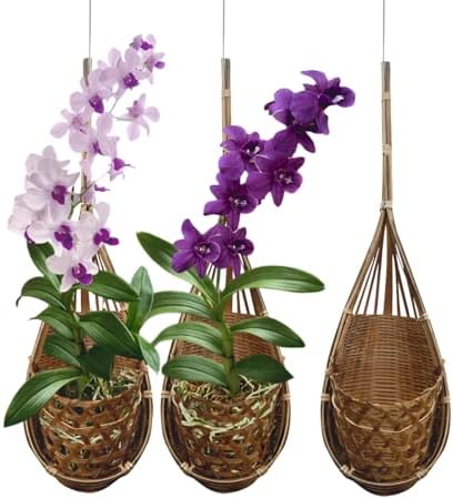 Handmade 100% Thai Bamboo Hanging Orchid Basket – 4 Inch Set of 3 by Panwa