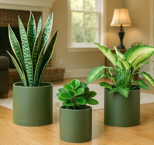 D'vine Dev 3-Pack Plastic Pots & Saucers, 6/6.5/8 in, Olive, 74-V-I-3 - Image 6