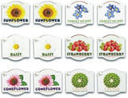 BUZZY Seeds Assorted Flower Grow Kit 12-Pack, Terracotta Pots, 6 Types - Image 2