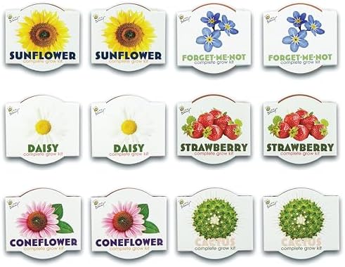 BUZZY Seeds Assorted Flower Grow Kit 12-Pack, Terracotta Pots, 6 Types - Image 2