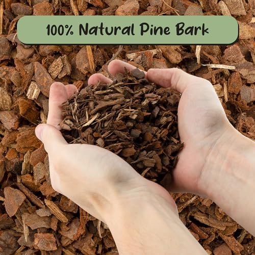 Soil Sunrise 100% Organic Orchid Potting Bark (30 Quarts) All-Natural USA-Sourced Pine Bark Orchid Mix Additive - Image 3