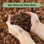 Soil Sunrise 100% Organic Orchid Potting Bark (30 Quarts) All-Natural USA-Sourced Pine Bark Orchid Mix Additive - Image 3