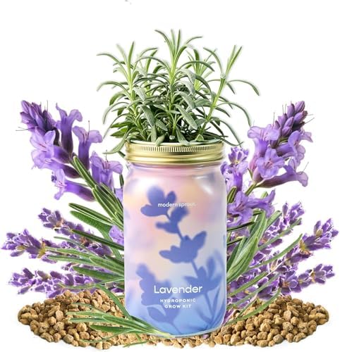 Modern Sprout Mason Garden Jar-Self-Watering Kit - Lavender+Rosemary - Image 4