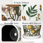 5.5 Inch Decorative Plant Pots, Round Ceramic Planters for Indoor Plants Pots with Drainage Hole Saucers, Lemon Green Leaves Ceramic Flower Pots Retro Planter Pot for Succulents Cactus Outdoor Garden - Image 2