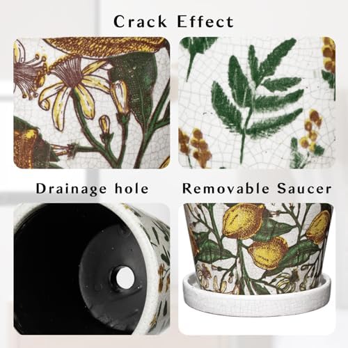 5.5 Inch Decorative Plant Pots, Round Ceramic Planters for Indoor Plants Pots with Drainage Hole Saucers, Lemon Green Leaves Ceramic Flower Pots Retro Planter Pot for Succulents Cactus Outdoor Garden - Image 2
