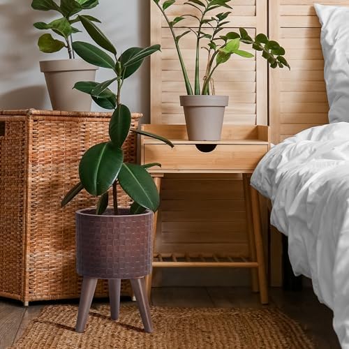 D'vine Dev Planter Pot with Wood Stand, 8 in, Espresso, 88-Z-A-6 - Image 6