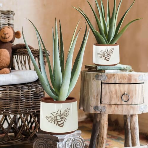 Terracotta Pots, 6+4 Inch Plant Pots, 2 Pcs with Drainage Holes - Image 5
