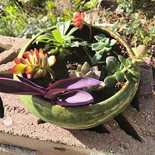 ARTKETTY Succulent Pots, 2 PCS Large Bonsai Pots with Drainage Tray - Image 3