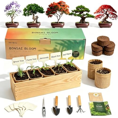 5 Pack Bonsai Tree Kit with Complete Tools, 5X Unique Seeds Bonzai Tree Live Kits, Complete Indoor Bonsai Starter Kit with Wooden Box, Perfect Christmas Garden Gift for Mom, Men, Women, Plant Lover by LYKO