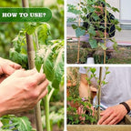 Jollybower 1/2" D 4.75 Feet Bamboo Stakes 50 Pack, Thicker Heavy-Duty Plant Stakes, Natural Garden Stakes for Bean, Tomato, Bean, Flowers,Trees Potted and Climbing Plant Support - Image 6