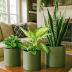 D'vine Dev 3-Pack Plastic Pots & Saucers, 6/6.5/8 in, Olive, 74-V-I-3 - Image 2
