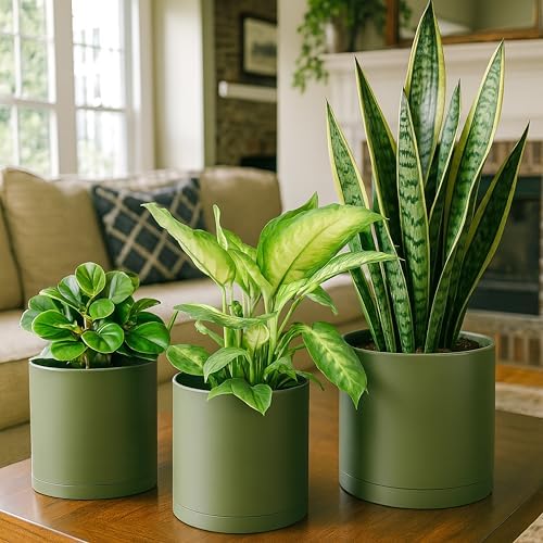 D'vine Dev 3-Pack Plastic Pots & Saucers, 6/6.5/8 in, Olive, 74-V-I-3 - Image 2