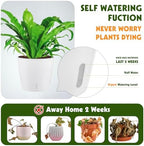Self-Watering Pots for Indoor Plants, 16-Pack Self Watering Planter with Drainage Holes, Small African Violet Pots with Water Indicator, 10-Pack 5''/6-Pack 6.7'' Orchid Pot, White - Image 3