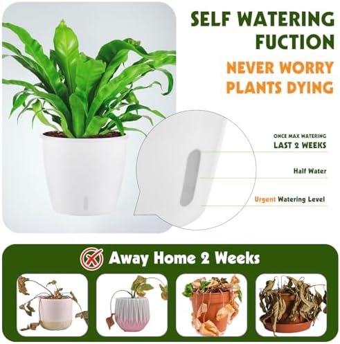Self-Watering Pots for Indoor Plants, 12-Pack 5'' Self Watering Planter with Drainage Holes, Small African Violet Pots with Water Indicator, Clear Wick Pot, White - Image 2