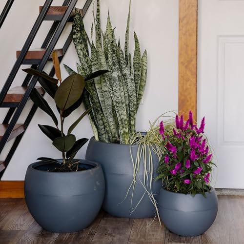 Beuta Large Poly Planters for Outdoor Plants - Set of 3, 8/12/14 Inches Outdoor Planters for Porch - Tall Planter for Outdoor & Indoor Plants | Large Indoor Plant Pot - USA Made - Grey - Image 6