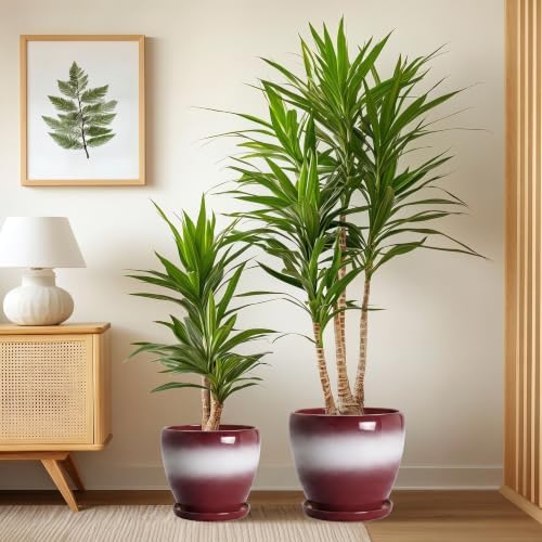 Ceramic 10+8+6 Inch Flower Pots, Ceramic Plant Pot, Red-White - Image 4