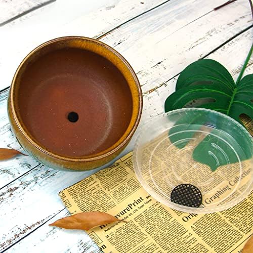 8 Inch Succulent Pot with Drainage and Saucer Glazed Terracotta Round Ceramic Succulent Planter Cactus Bonsai Plant Pot (Brown and Green) - Image 4