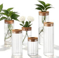 6 Sets Glass Plant Propagation Vases Cork Lid, 3 Size Desktop by Ferrochef