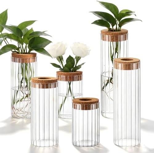 6 Sets Glass Plant Propagation Vases Cork Lid, 3 Size Desktop by Ferrochef