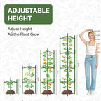 Halatool 6 Pack Tomato Cages for Garden, Up to 63 inch(5.2FT) - Image 5
