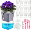 HITOSTAR 12 Pack 4 Inch Mini Clear Self Watering Pots for Indoor Plants, Small Plastic Planters with Drainage, Hydroponic Nursery Propagation Cups, for African Violet Alocasia Pot (4 Inch, 12Pack) by Unknown