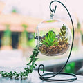 Indo Essentials-Display Stand Iron Hanging Black Metal Holder Flower Pot Stand for Hanging Glass Globe Air Plant Terrarium Ball Clear Glass Hanging Planter Decorative Tea Light Candle Holder by Unknown