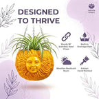 Nebula Colors Fun & Unique Sun Face Hanging Planter Quirky Celestial Decor for Plant Lovers – Indoor Outdoor Flower Basket for Succulents & Small Plants – Decorative Garden Yard Art - Image 2