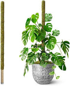DUSPRO 80" Large Stackable Moss Pole for Plants Monstera, (1pc., 80'') by DUSPRO