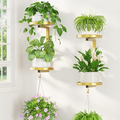 LASZOLA Plant Hanger Holder Window Shelf Wall Mounted Indoor, 2 Pcs Gold by LASZOLA