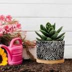 in Beige Planter Ceramic Black White Zebra Print Round Plant Pot with Drainage Holes and Bamboo Tray Pot for Indoor Outdoor Garden - Image 5