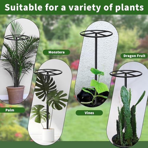 2 Pcs Heavy Duty Dragon Fruit Trellis, 12"x12"x50" Adjustable Metal Dragon Plant Support Stand, Durable Vertical Trellis for Climbing Plants, No-Hammer Assembly for Outdoor Garden (Round) - Image 5